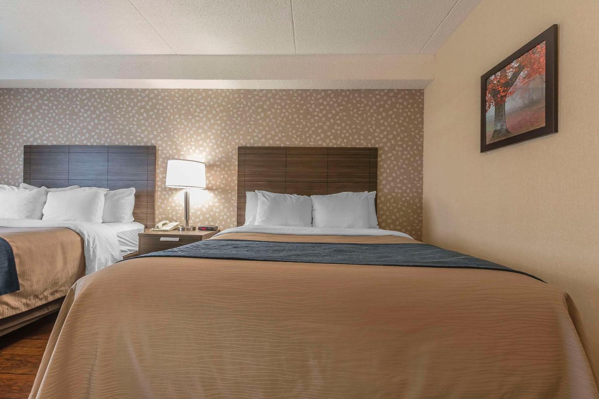 Comfort Inn Levis Exterior photo