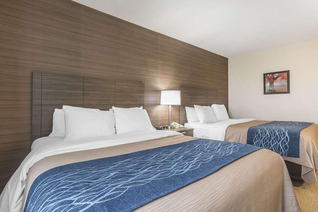 Comfort Inn Levis Room photo